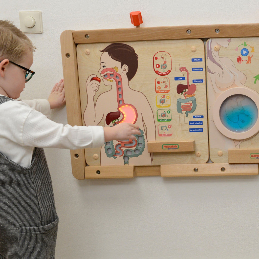 MASTERKIDZ Tablica Edukacyjna Układ Trawienny Montessori