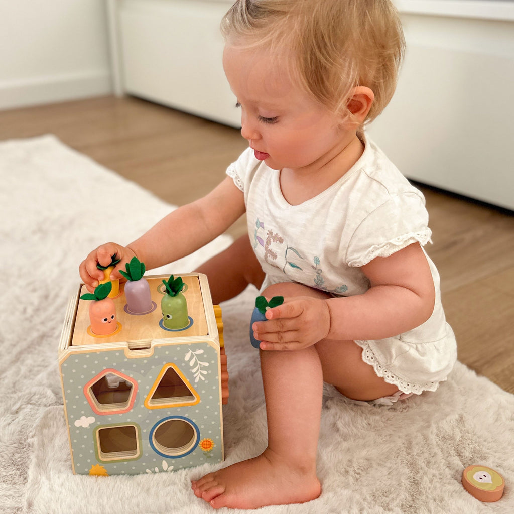 TOOKY TOY Drewniana Wiosenna Kostka Edukacyjna 5w1